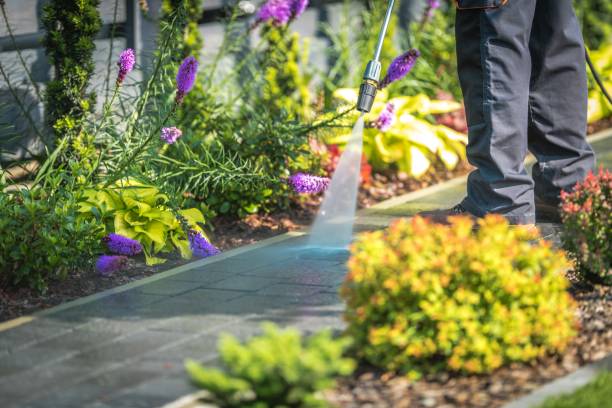 Reliable Pike Road, AL Pressure Washing Solutions